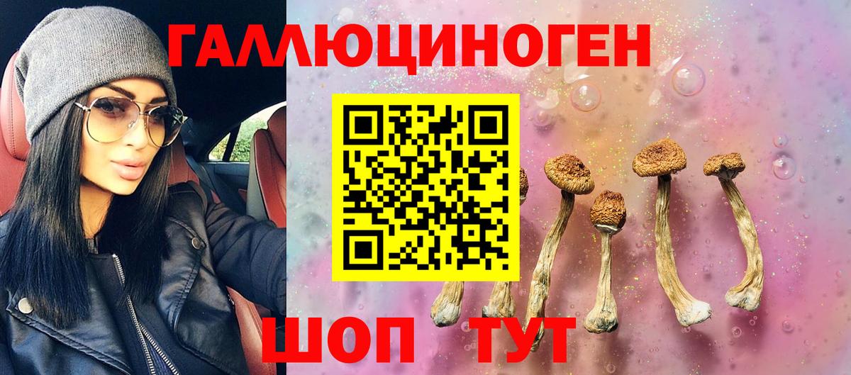 Псилоцибиновые грибы Psilocybine cubensis  Вход с VPN  Тольятти 