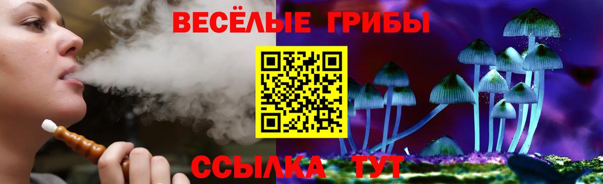 Псилоцибиновые грибы Psilocybine cubensis Тольятти